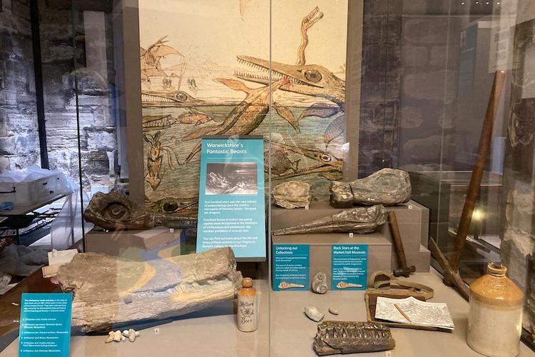 Image of a fossil exhibition at Market Hall Museum