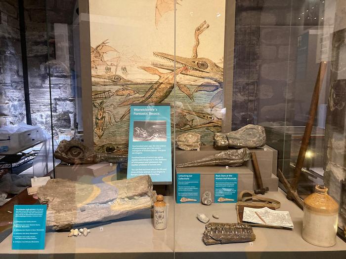 Image of local fossil display
