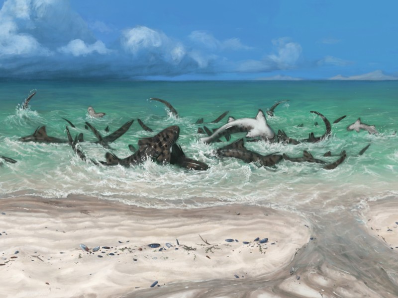 River monsters exhibition