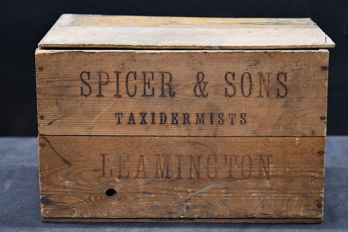 Image of a Spicer Box