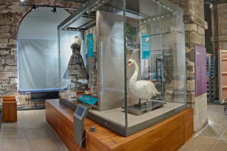 Image of the inside of market hall museum and some exhibition pieces including a swan