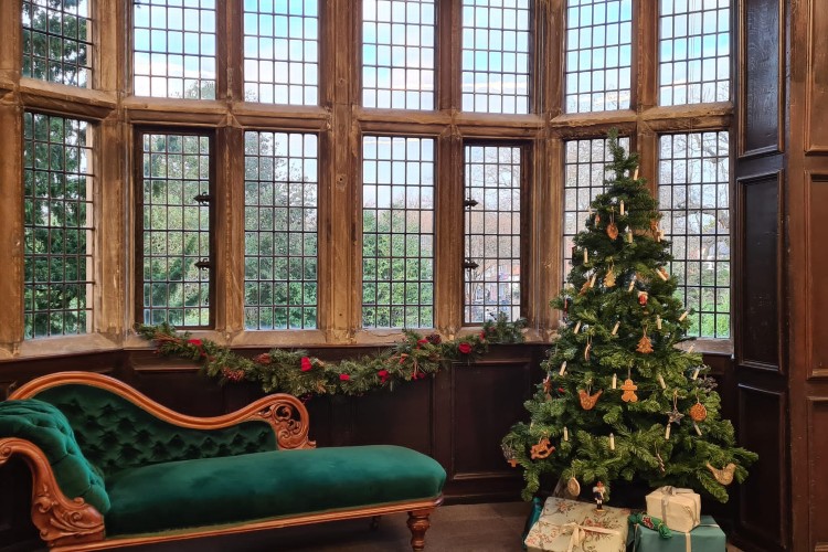 A Christmas tree in front of an ornate window