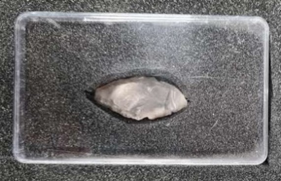 A foliate, leaf shaped, arrowhead