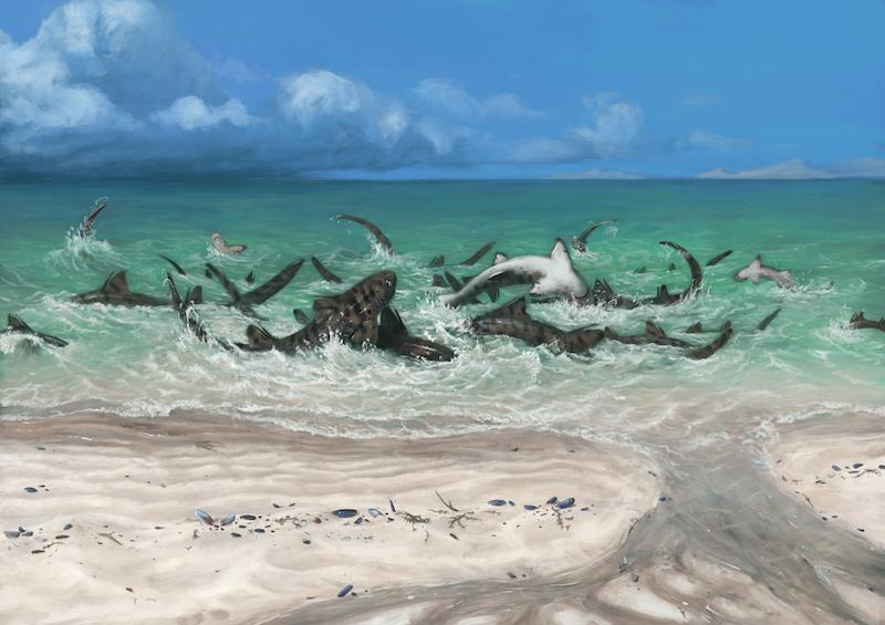 An illustration of various prehistoric 'monster' fish