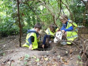 A Natural History Adventure